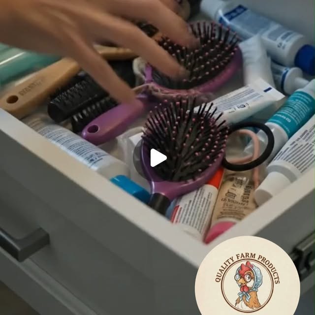 Hen Relaxation – watch on Instagram